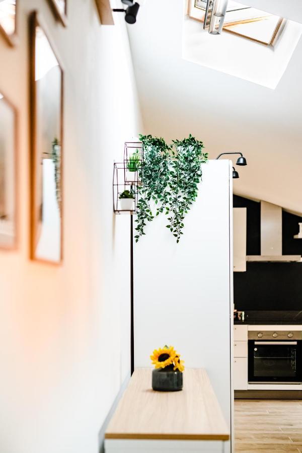 Mansarda Belli Ravenna Appartement Buitenkant foto